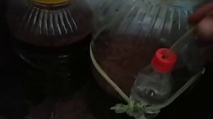 ТАК Я ДЕЛАЮ ВИНА ИЗ ЧЕРЕШНИ !