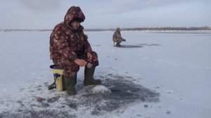 Рыбацкие байки. Февраль 2019. Моркваши