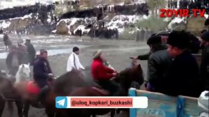 БУЗКАШИ УЛОК КУПКАРИ ХАЛИМ ПОЛВОН НОВ СПИТАМЕН