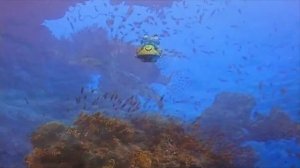 Подводный скутер Seabob F5