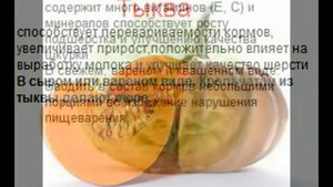 Кормление кроликов