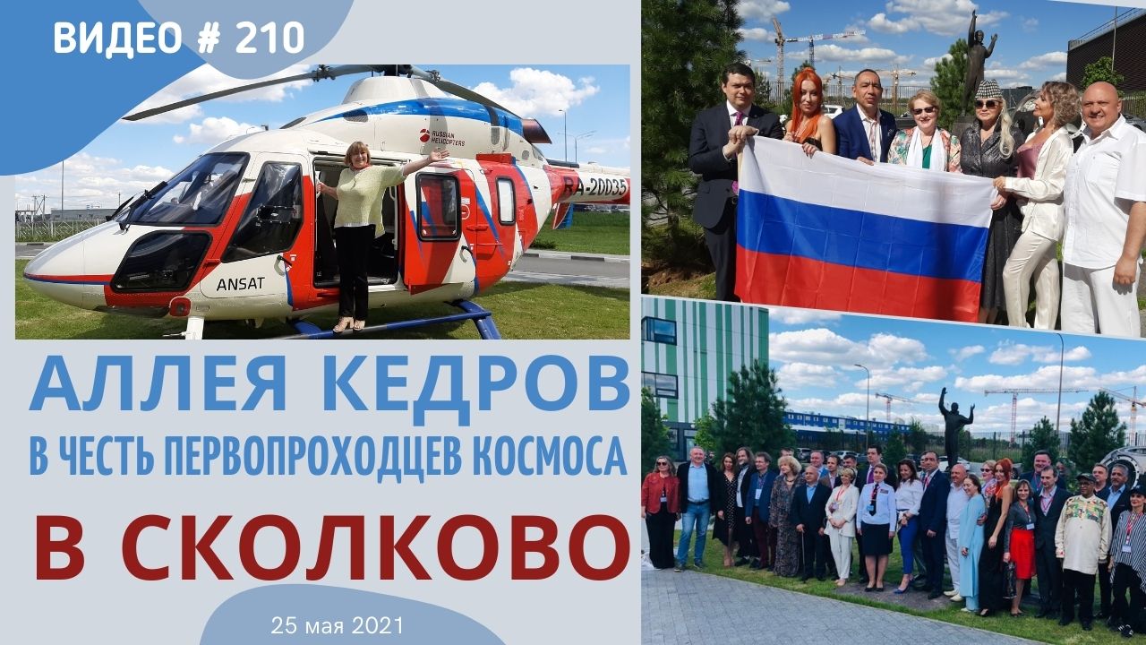 #210 Аллея кедров в Сколково (27.05.2021)