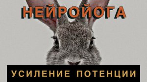 НейроЙога | Повышение либидо и потенции с помощью одного упражнения.