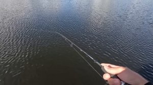 ОШИБКИ Начинающего Спиннингиста!  СПИННИНГ ДЛЯ НАЧИНАЮЩЕГО!  Длинна!  Тест! Строй!