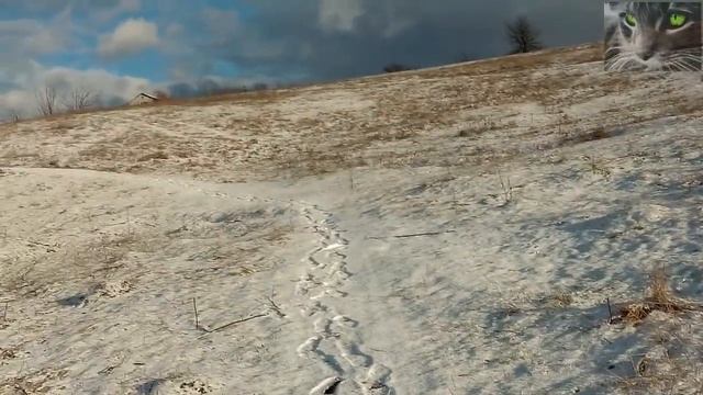 Магия даты 02.02.2020. Важная зеркальная дата. смотреть онлайн