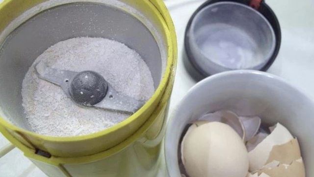 Яичная скорлупа как удобрение для огорода смотреть онлайн