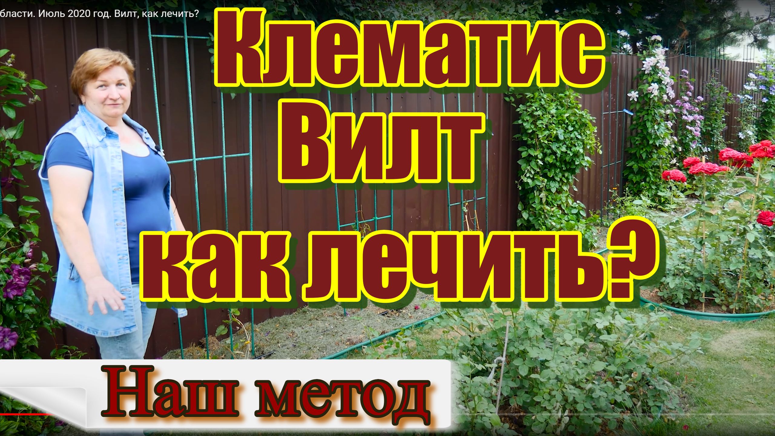 Клематис в Московской области Июль 2020 год. Вилт, как лечить