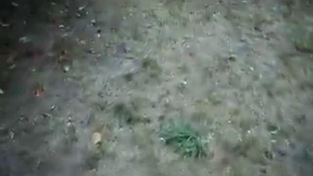 Sony DSC S2100 Test da la Vidéos.AVI смотреть онлайн