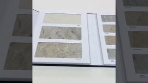 Папка с ложементом