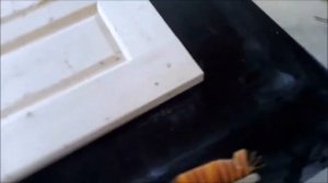 Деревянные двери своими руками 1 часть, ошкуривание.