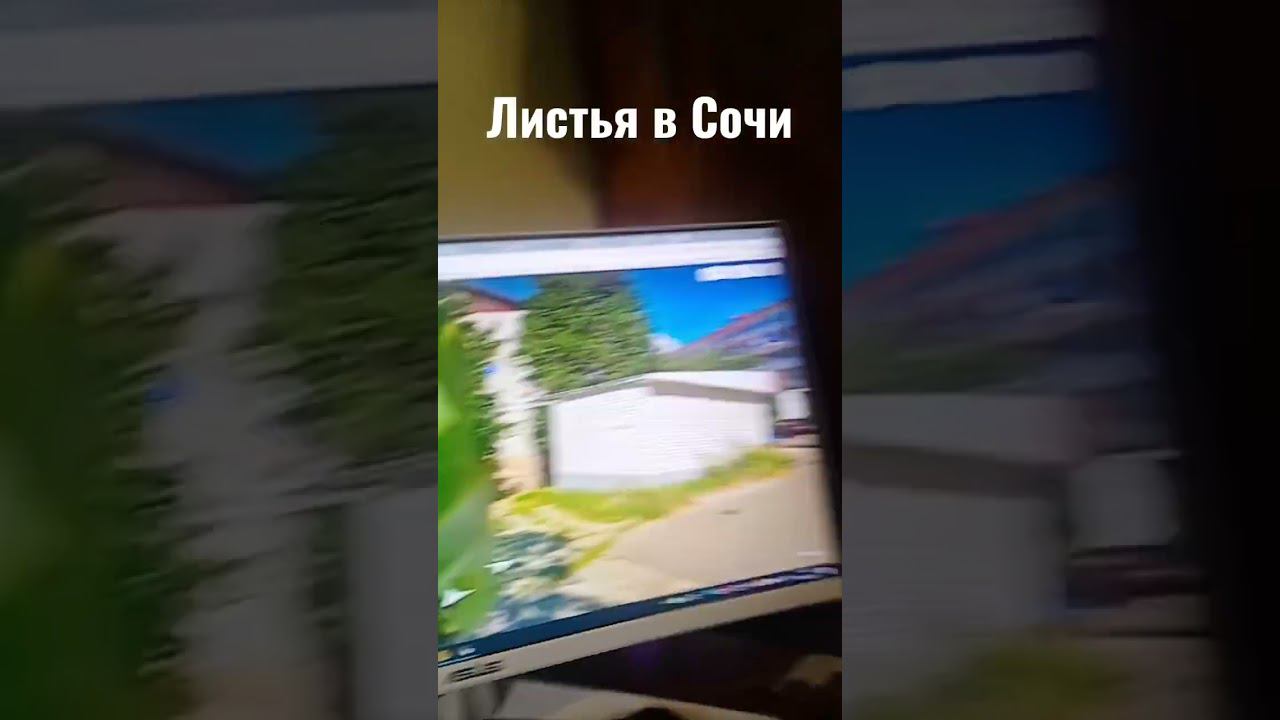 Жуткое видео Яндекс Панорамы в Сочи (2020) смотреть онлайн