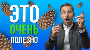 КЕДРОВАЯ ШИШКА. Очень полезный продукт. Кедровые продукты. Биохакинг.