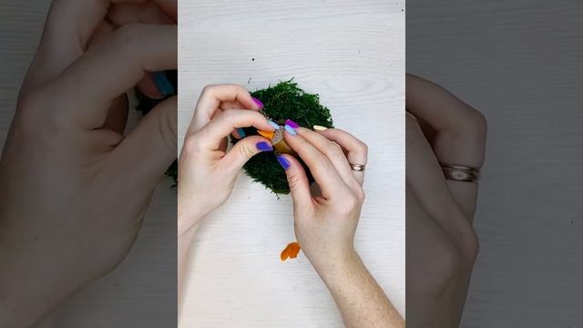 ОСЕННЯЯ БЕЛОЧКА? смотреть онлайн