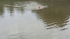 Рыбалка.Кемпинг в Астраханской области.