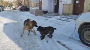 Встреча друзей | © 2024