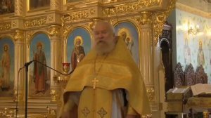 Протопресвитер Андрей Алешин. Жители страны Гадаринской.батюшке 40дней. Царство небесное.