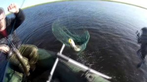 Река Ишим. ловля щуки на спиннинг