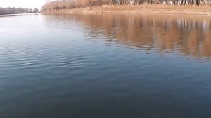 2014 ноябрь Подчалык