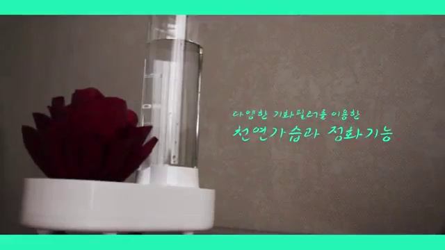 m i collection- Evaporating Humidifier смотреть онлайн