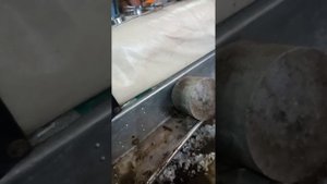 Снегоход Рысь с Лифан 29 л.с.
