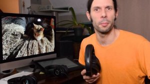 Sony MDR-7506 vs Sennheiser HD 280 PRO vs Audio-Technica ATH-M40x Headphones