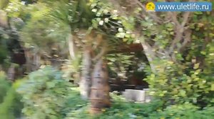 Парк Горького Нячанг