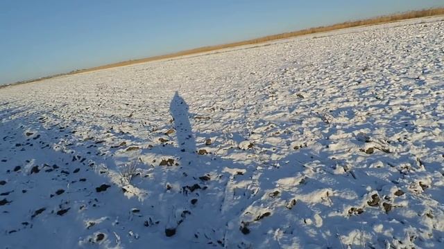 охота на зайца русака в пашне смотреть онлайн