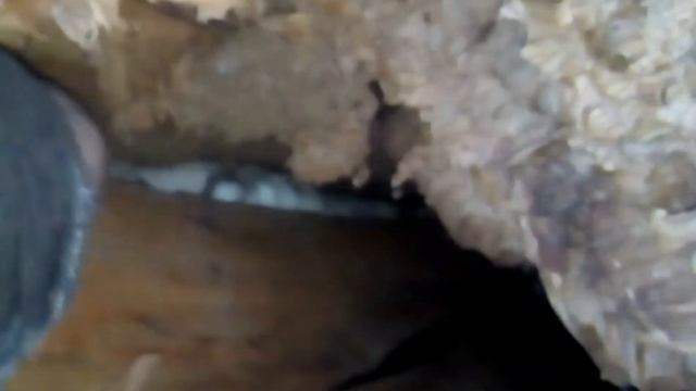 Убираю старые гнёзда шершней с чердака ЗАЧЕМ? смотреть онлайн