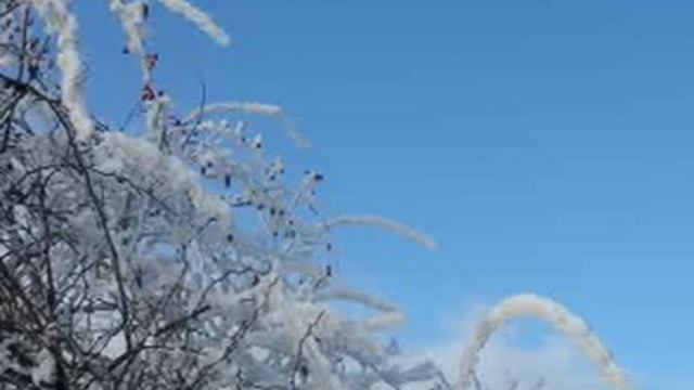 E.H.Grieg - Sonata no.3 for violin and piano - 1.mouv.