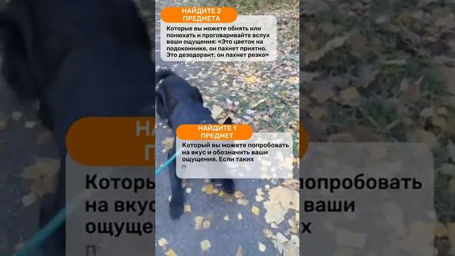 Как справиться с паническими атаками? Что поможет снизить тревожность? Простая техника.