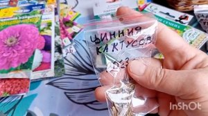 Что выросло из семян цветов в это лето