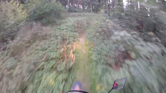 BM Motard 250. Лесные прогулки смотреть онлайн