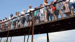 Утреннее кормление львов .Тайган .Крым