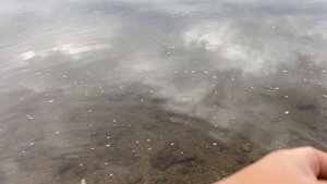 Мормышинг осенью. Рыбалка на Судака. Мормодроч