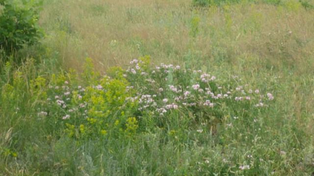 НАШ КРАЙ смотреть онлайн