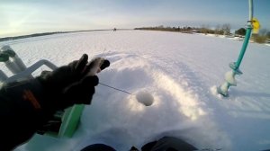 Зимняя блесна на озере или первый день тренировки к Чемпионату Вологодской области 08.03.2018