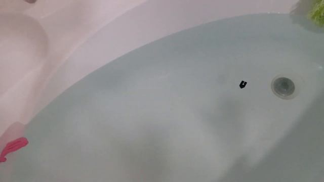 Лодка на мыльном двигателе смотреть онлайн