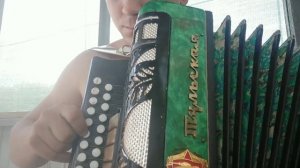 разбор на гармонии в цифрах  наигрыш (полька) самый простой для новичка