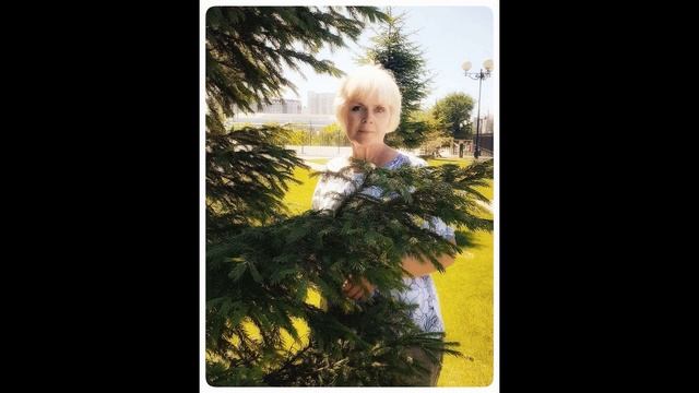 Песня Я навеки замру стихи Светлана Виханова музыка Любовь Осокина смотреть онлайн