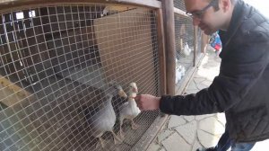 Суворовские бани Копейск