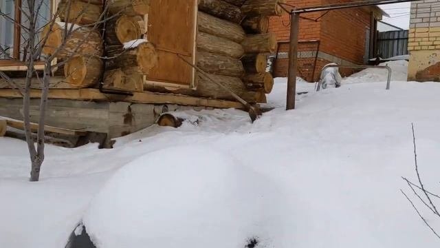 Беседка из дикого сруба