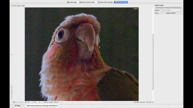 DeNoise AI is THE BEST Image Noise Reduction Software - PROOF! смотреть онлайн