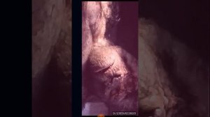 Рэмпейдж прикол