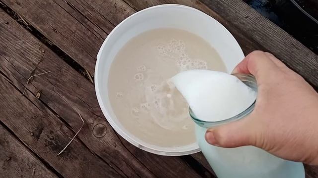 #Стимуляция микробиоты в земле под томатами#Обзор нашей теплицыМои томаты и перцы#Подкормка перцев. смотреть онлайн