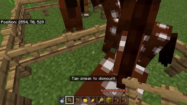 HOW TO GET ULTRA FAST HORSES in Minecraft Bedrock (MCPE/Xbox/PS4/Nintendo Switch/Windows10) смотреть онлайн