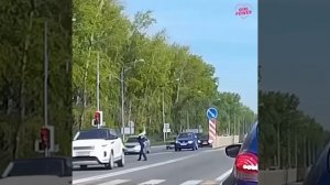 А зачем он свистит и палку поднял?