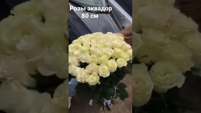 розы эквадор 80 см