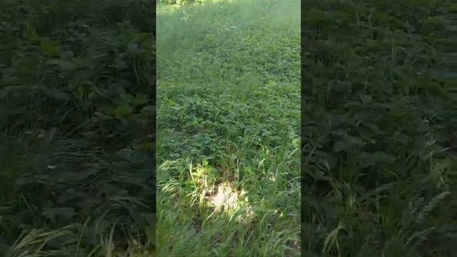 Школа в которой учился