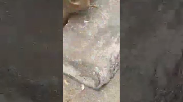 Тайланд Пхукет смотреть онлайн