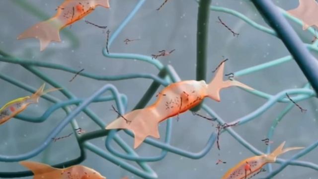 Kosmetolog Gulnozadan Lazerniy qin toraydirish haqida malumotlar sizlar uchun aziz kuzatuvchilar?